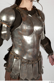  Photos Medieval Knight in plate armor 13 Medieval clothing Medieval knight brown gambeson chest armor upper body 0012.jpg